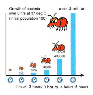 Year 11 Food Technology: Diseases caused by bacteria Biology Diagrams